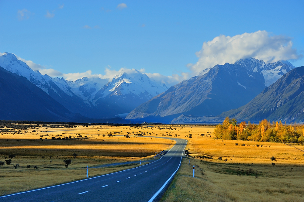 Landscape Image | Asset Management
